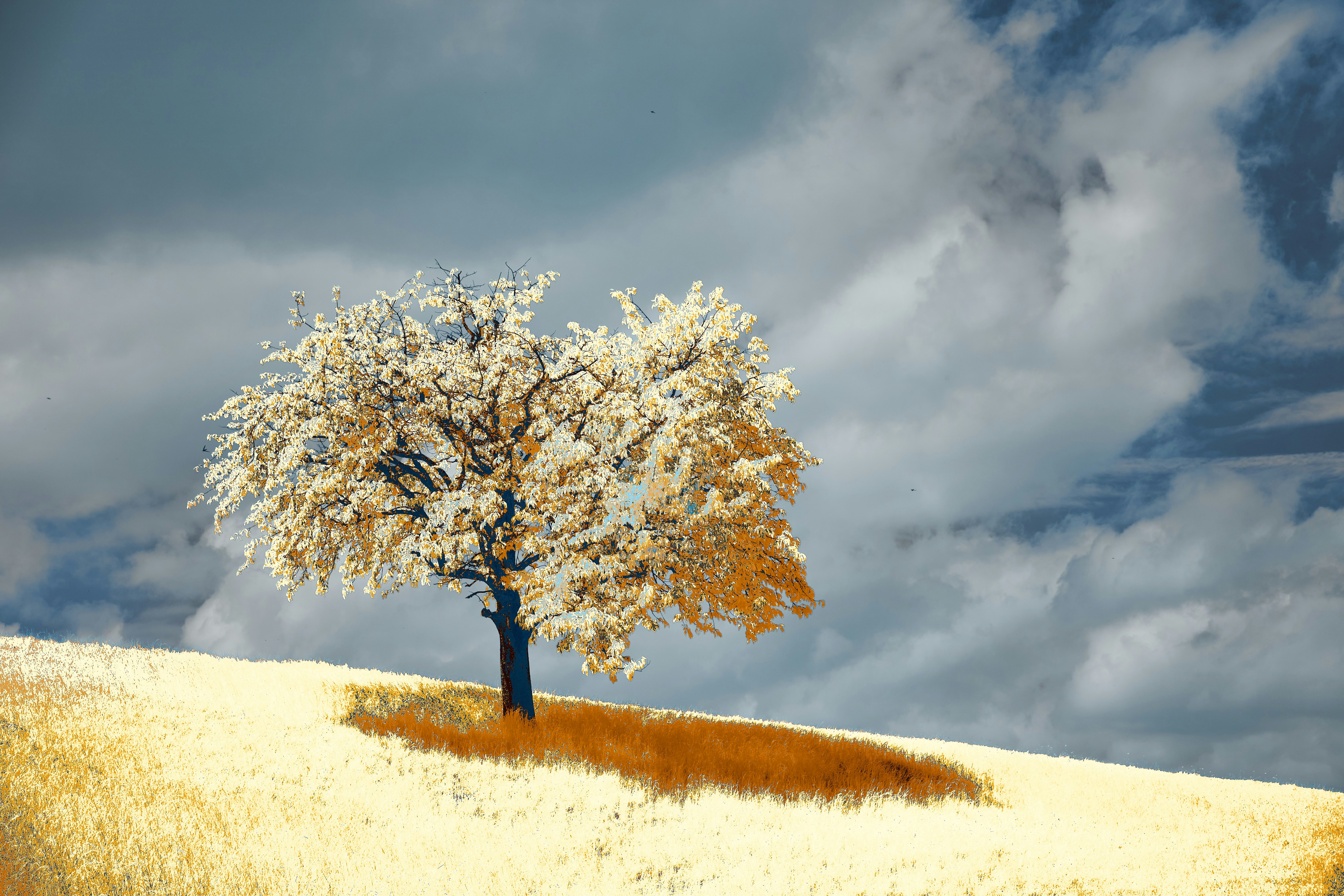 Spiritual Maturity